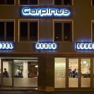 Hotel Carpinus